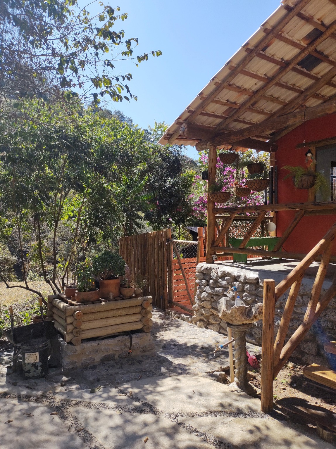 Experiência sensorial junto à natureza